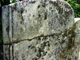 image of grave number 206127